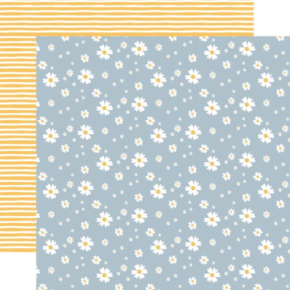 Firefly Collection Paper Pack 12"X12"