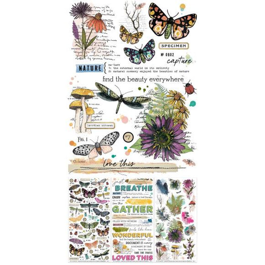 Curiosities In Willow Grove Rub-On Transfer Set - Vicki Boutin