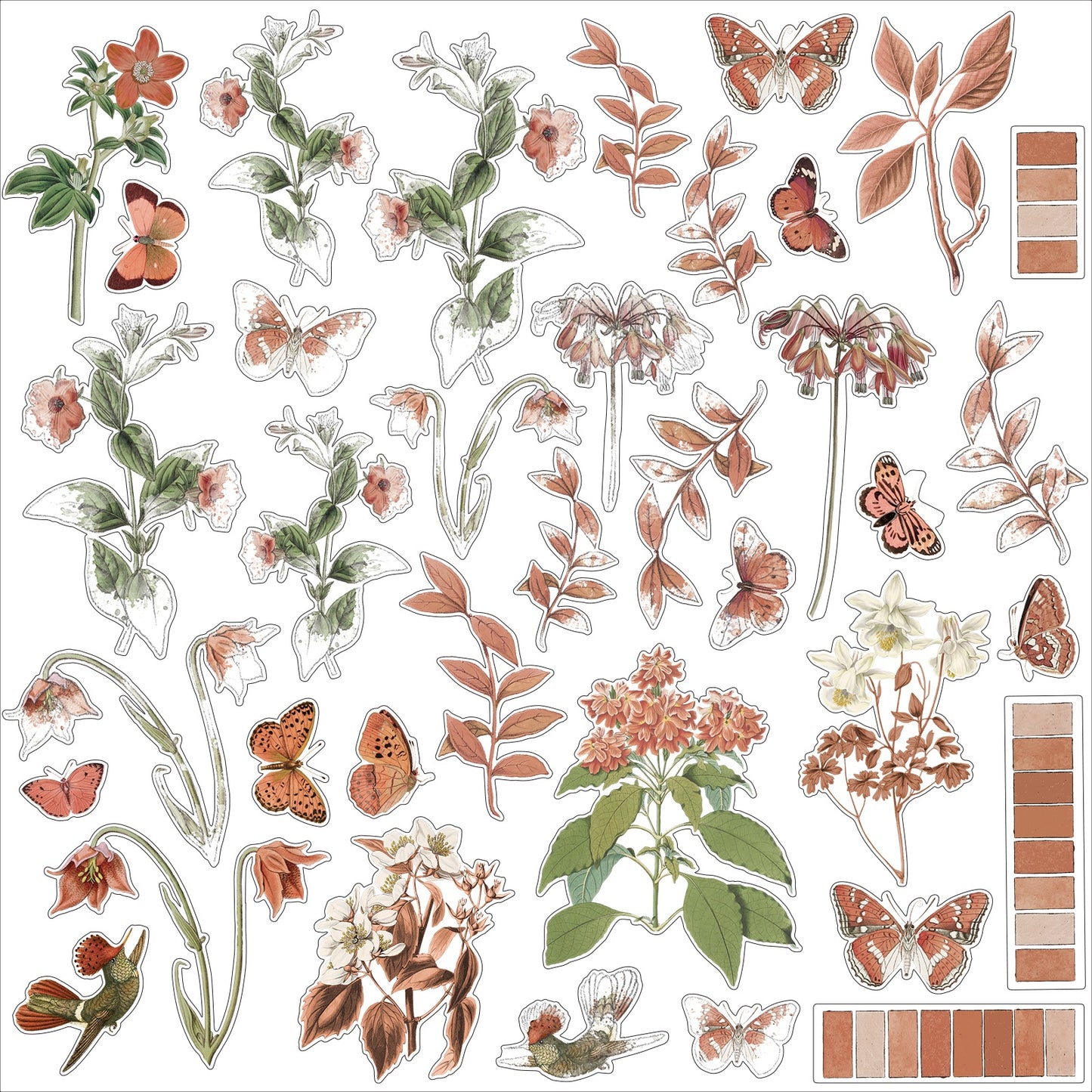49 and Market Terracotta Acetate Assortment Images