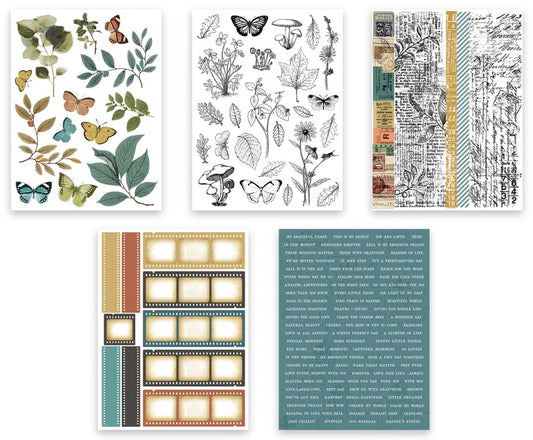 AMBER LEDGERS Sticker Book