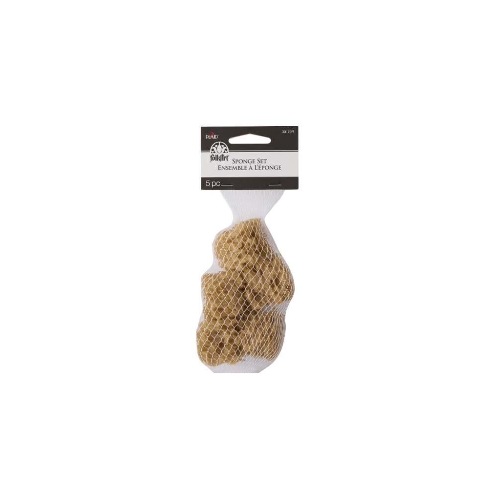 FolkArt Sponge Set 5/Pkg