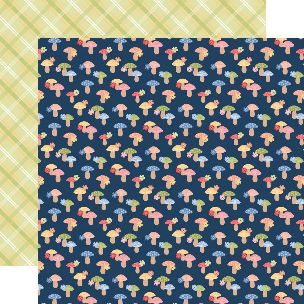 Blossoms And Bees Collection Paper Pack 12"X12"