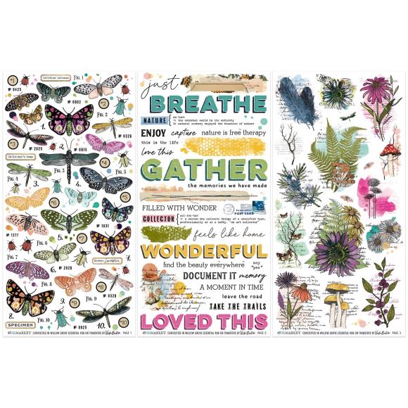 Curiosities In Willow Grove Rub-On Transfer Set - Vicki Boutin