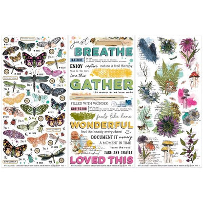 Curiosities In Willow Grove Rub-On Transfer Set - Vicki Boutin