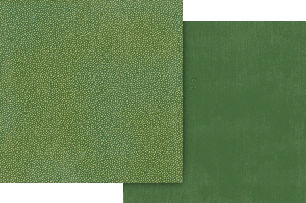 Graphic 45 Collection Pack 12"X12" - Wonder Of Oz