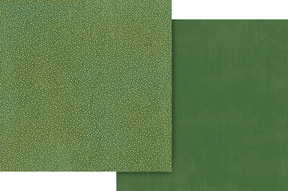 Graphic 45 Collection Pack 12"X12" - Wonder Of Oz