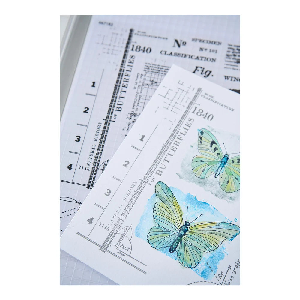 Sizzix 49 and Market – Clear Stamps & Framelits Dies Set – Postage Wings