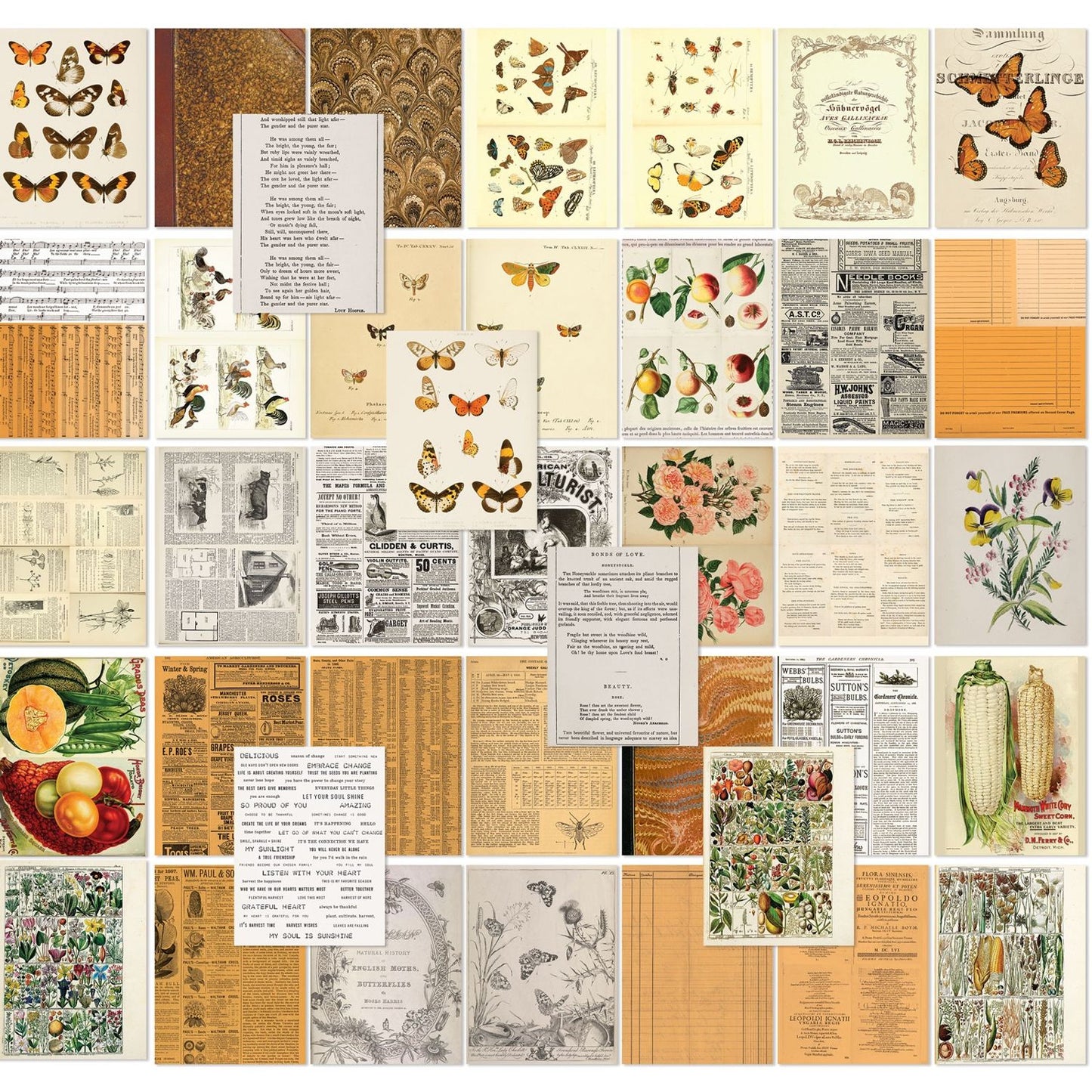 49 And Market Collage Sheets 6"x8" 40/Pkg - Color Swatch: Peach