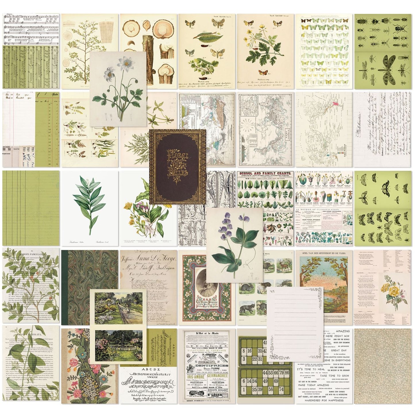 49 And Market Collage Sheets 6"x8" 40/Pkg - Color Swatch: Grove