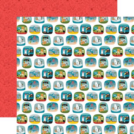 Field Trip Collection Paper Pack 12"X12"