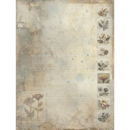 Faded Memory Lane 6x8 Collection Pack by Nuneka, and Art House Whimsy