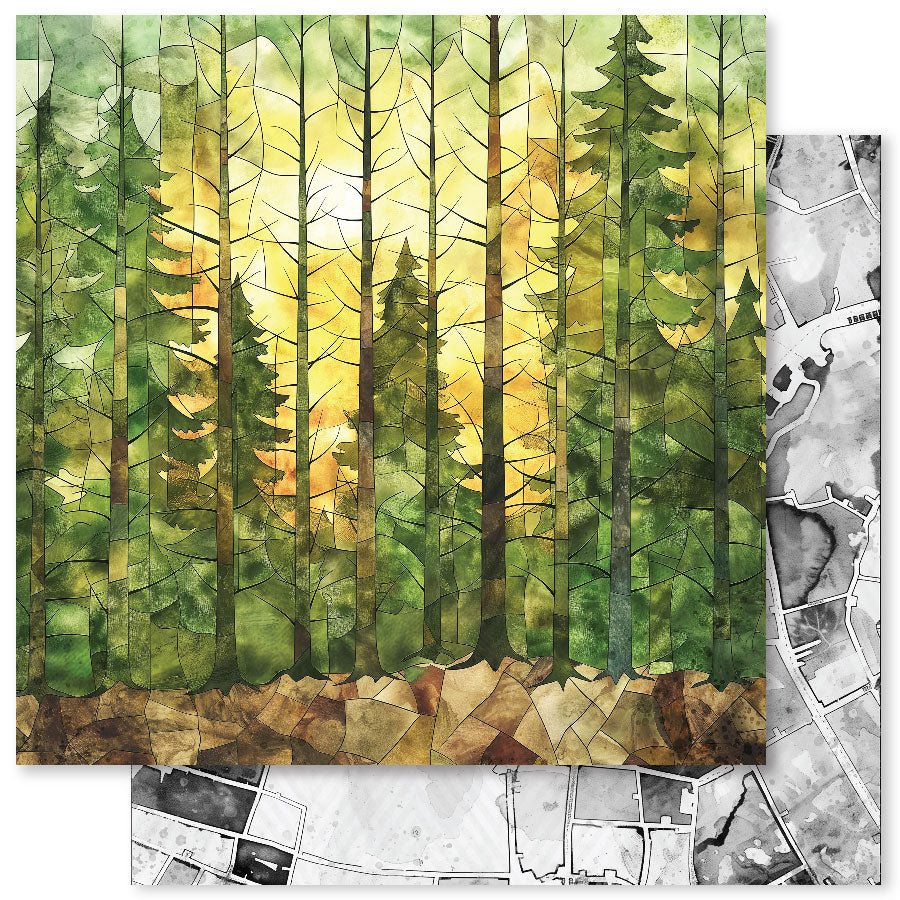 Animal Kingdom 12x12 Paper Collection