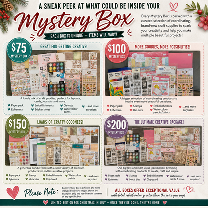 🎄 Christmas in July Mystery Box 🎁