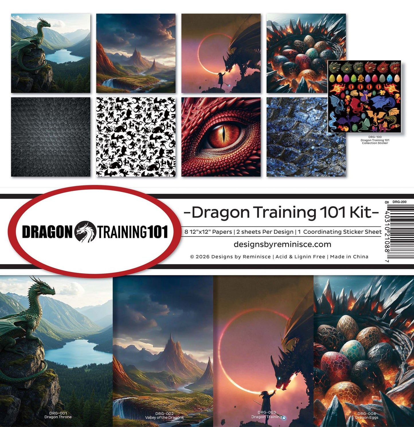 Dragon Training 101 Kit Collection 12"X12"