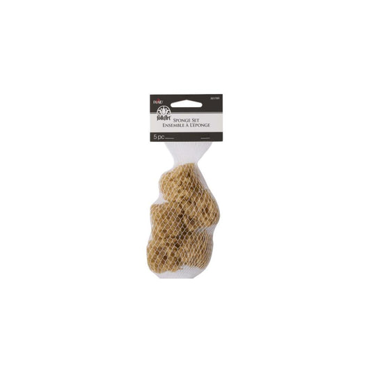 FolkArt Sponge Set 5/Pkg