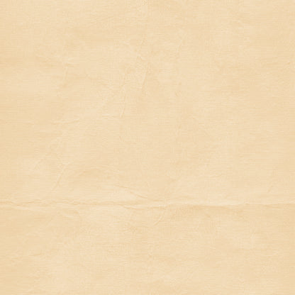 The Looking Glass 12x12 Solid Cardstock Pack by Joanne Bain