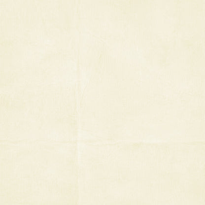 The Looking Glass 12x12 Solid Cardstock Pack by Joanne Bain