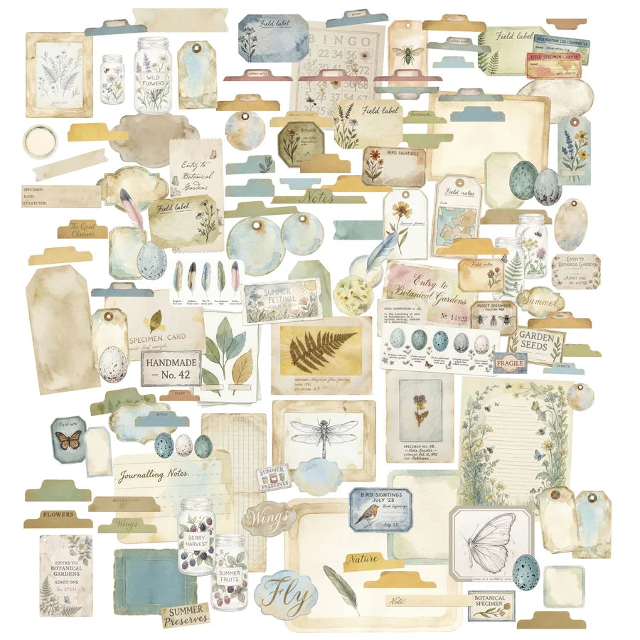 The Quiet Observer Ephemera Set by Arthouse Whimsy